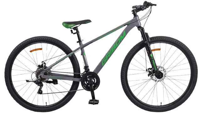 Bicicleta ASPEN GRIBOM TALLE S MTB Rodado 29 Aluminio 21 velocidades Gris Perla y Verde